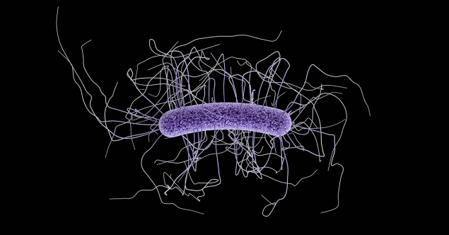 c difficle bacteria shaped like a hotdog with a million scary sticky arm whips, provided by the CDC.